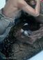 morepic-4