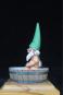 morepic-4