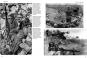 morepic-5