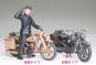 morepic-5