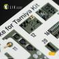 morepic-5