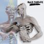 morepic-5