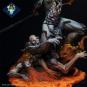 morepic-5
