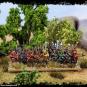 morepic-5