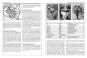 morepic-6