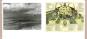 morepic-6