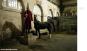 morepic-6
