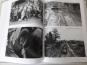morepic-6