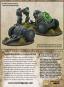 morepic-6