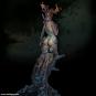 morepic-6
