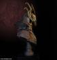 morepic-6