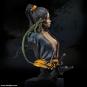 morepic-6