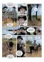 morepic-7