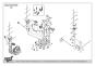 morepic-7