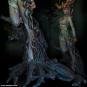 morepic-7