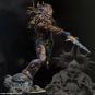 morepic-7