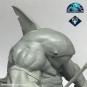 morepic-7