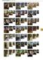 morepic-8