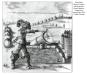 morepic-8