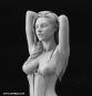 morepic-8