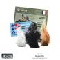 morepic-8