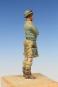 morepic-8