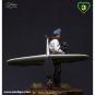 morepic-8