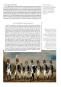 morepic-9