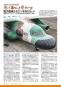 morepic-9