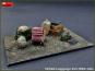 morepic-9
