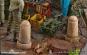 morepic-9