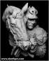 morepic-9