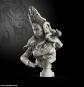 morepic-9