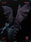 morepic-9