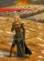 morepic-9