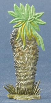 Senecio cottoni 