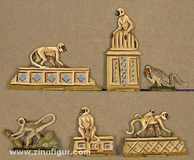 Singes Hulman (singes du temple) 