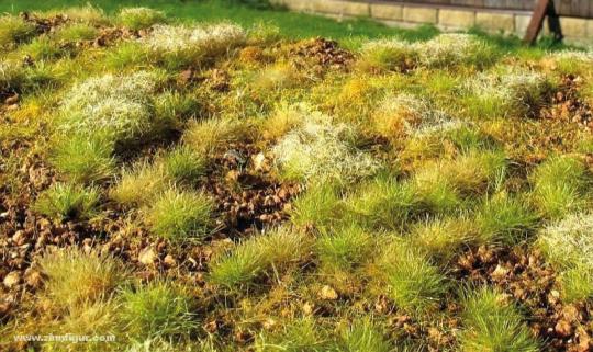 Stony Steppe - Ground Mat 