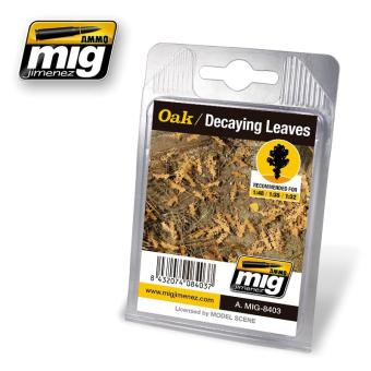 Oak Leaves - Decaying 
