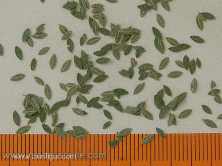 Universal Leaves - Green 