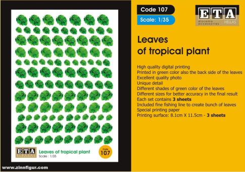Feuilles tropicales 6 