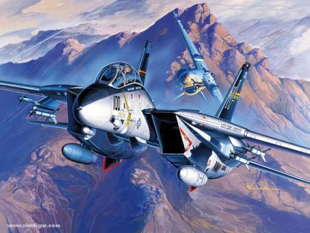 F-14A TOMCAT 