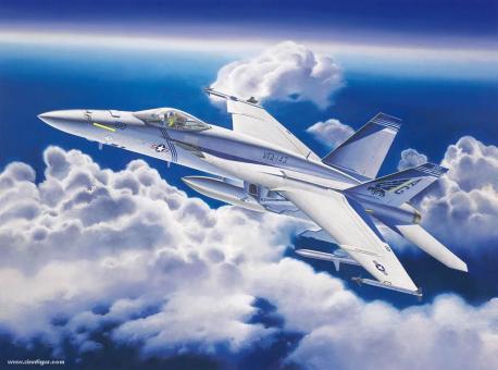 F/A-18E Super Hornet 