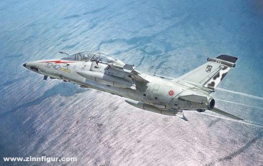 AMX-T Twin Seater 