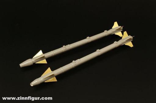 AIM-9X Sidewinder (4 pcs) 