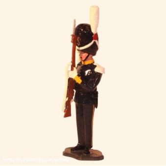 Grenadier Svea Garde du corps 