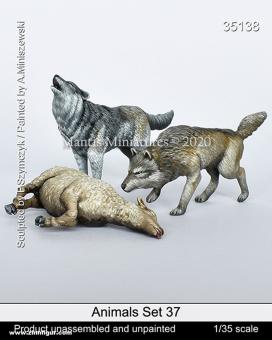 Animals Set 37: Wolves 