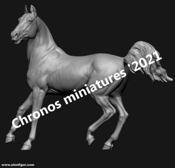 Pferd 20 