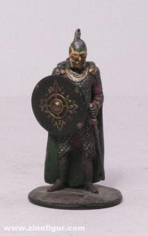 Rohan Warrior 