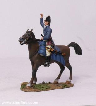 Field Marshal Wellington 